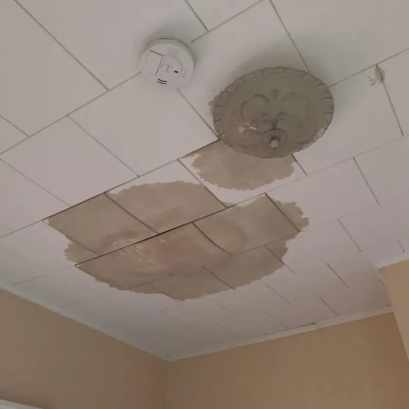 Ceiling Water Damage Repair in Roslyn, NY