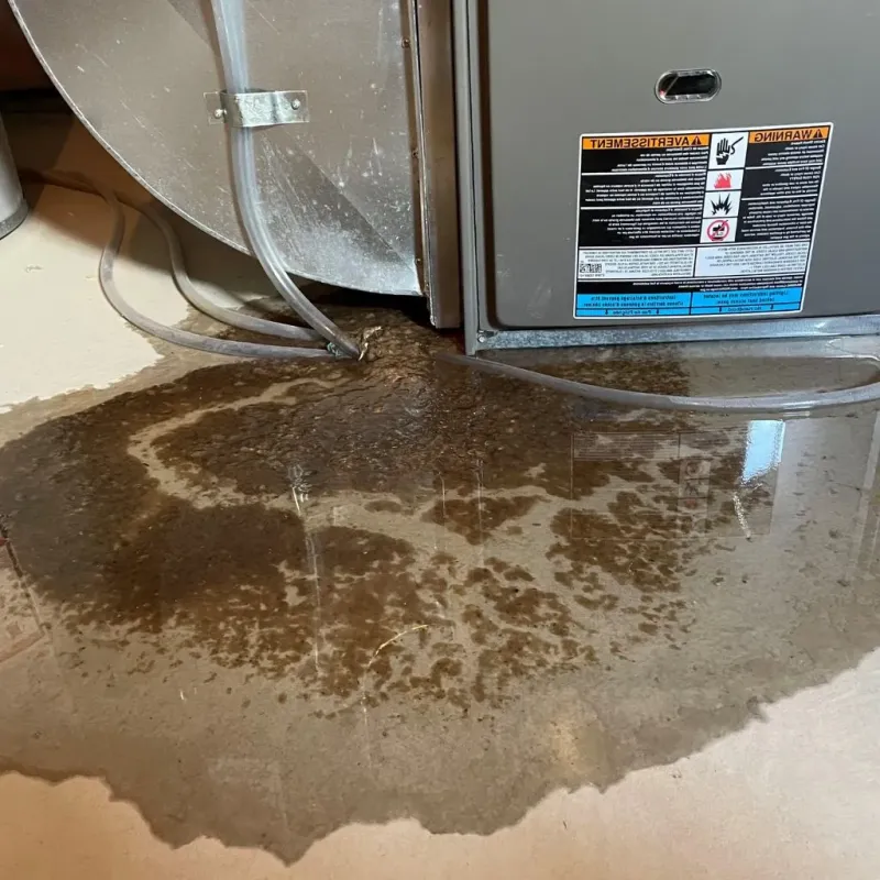 Pipe Burst and Leak Restoration in Roslyn, NY
